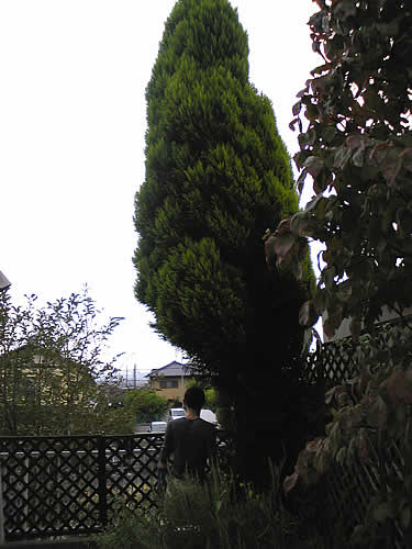 c0181543_18174243.jpg