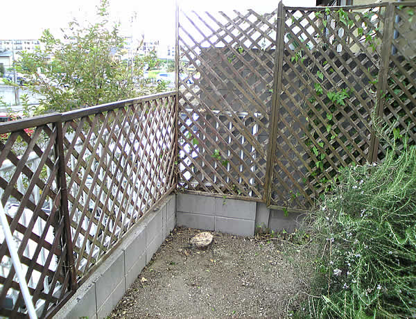 c0181543_1824682.jpg
