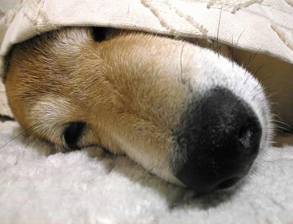 c0181543_23563994.jpg