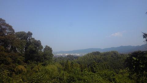 f0060943_20135868.jpg