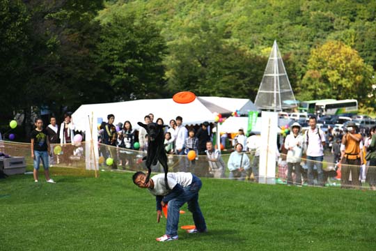 a0042044_23122946.jpg
