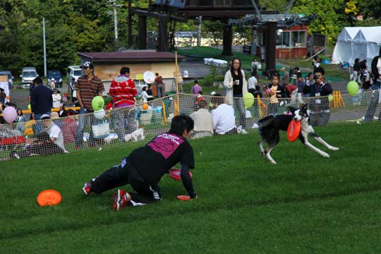a0042044_23171246.jpg