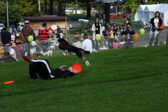 a0042044_23175071.jpg