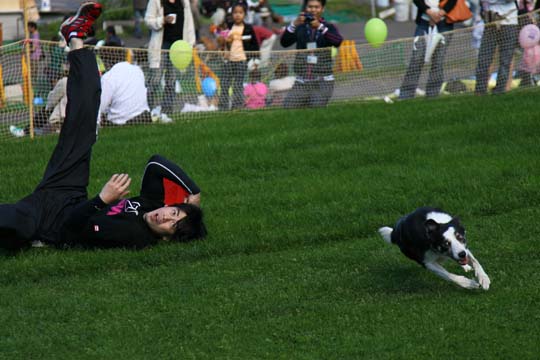 a0042044_23183541.jpg