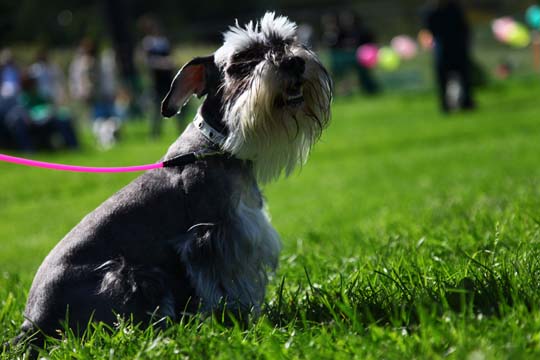 a0042044_9495657.jpg