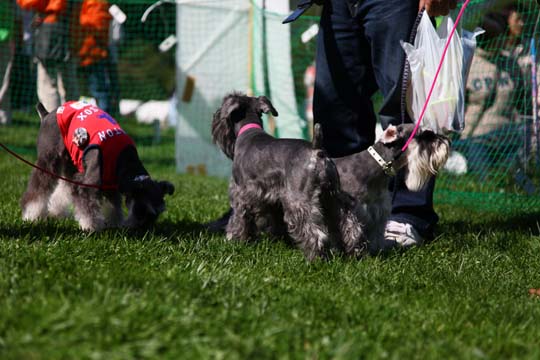 a0042044_95146.jpg
