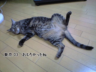 f0116546_23113957.gif