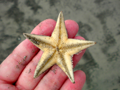 e0005548_1272365.jpg