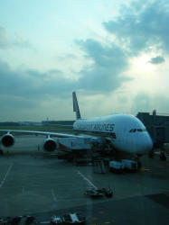b0153351_1118454.jpg