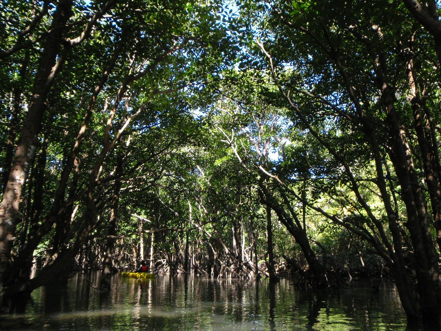 e0134752_2059987.jpg