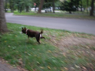 d0006253_21354749.jpg