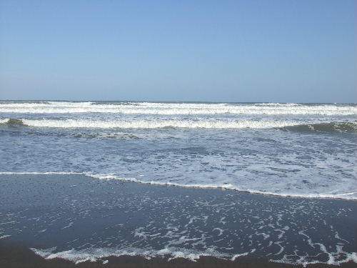 d0107353_9124447.jpg