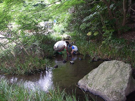 a0056654_0242898.jpg