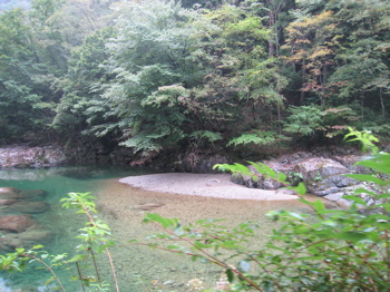 c0153259_2292016.jpg