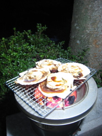 c0153259_2293358.jpg