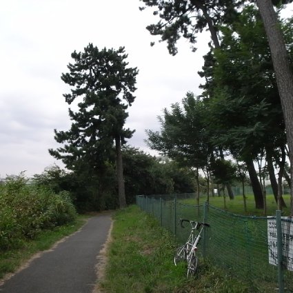 f0178061_1222845.jpg