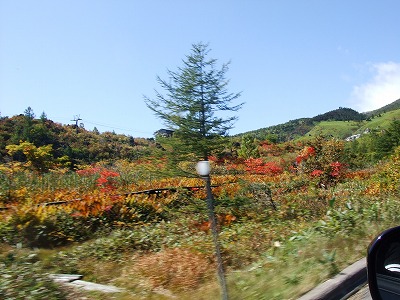 a0104162_1052241.jpg