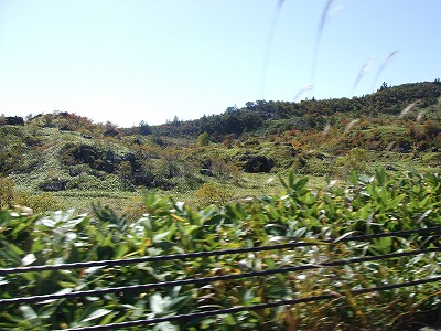 a0104162_1053234.jpg