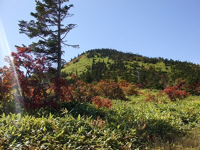 a0104162_1065399.jpg