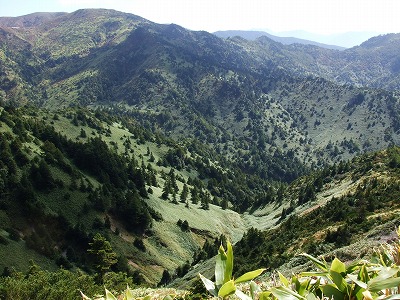 a0104162_1072643.jpg