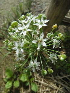 b0079965_5452328.jpg