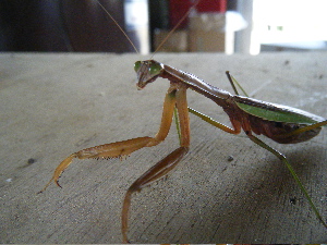 b0079965_5462222.jpg