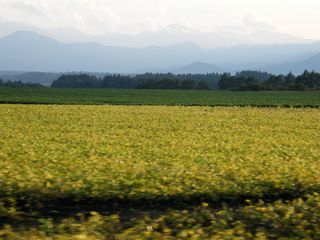 b0128173_1950963.jpg
