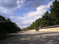 e0025073_8222864.jpg