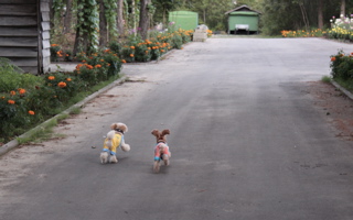 e0133273_1613365.jpg