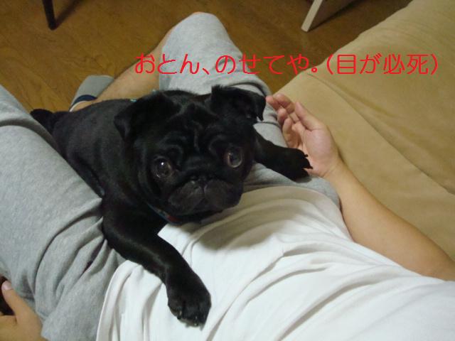 e0134873_013618.jpg