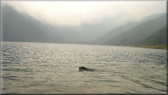 e0099375_2244465.jpg