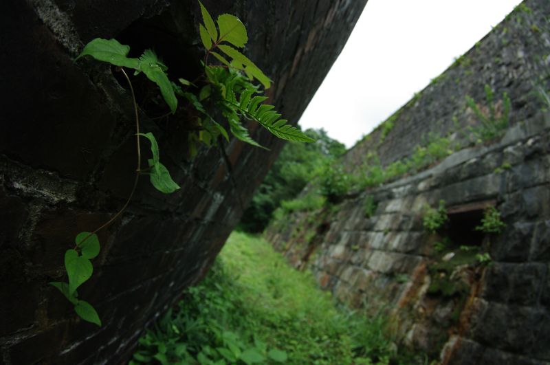 e0152576_22314289.jpg