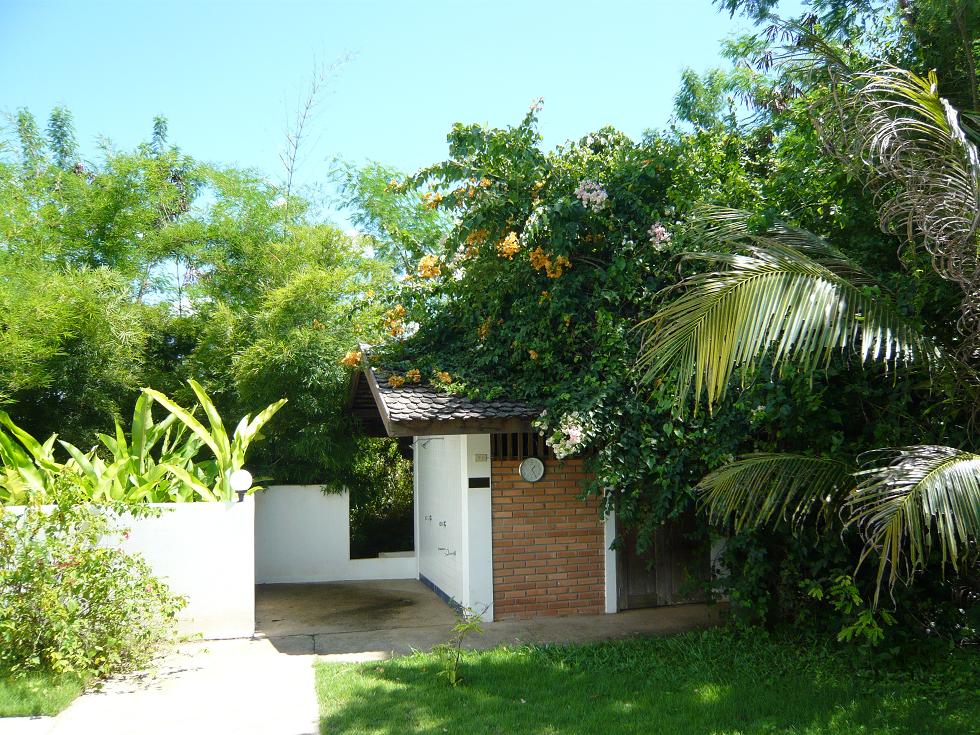 f0178278_810315.jpg