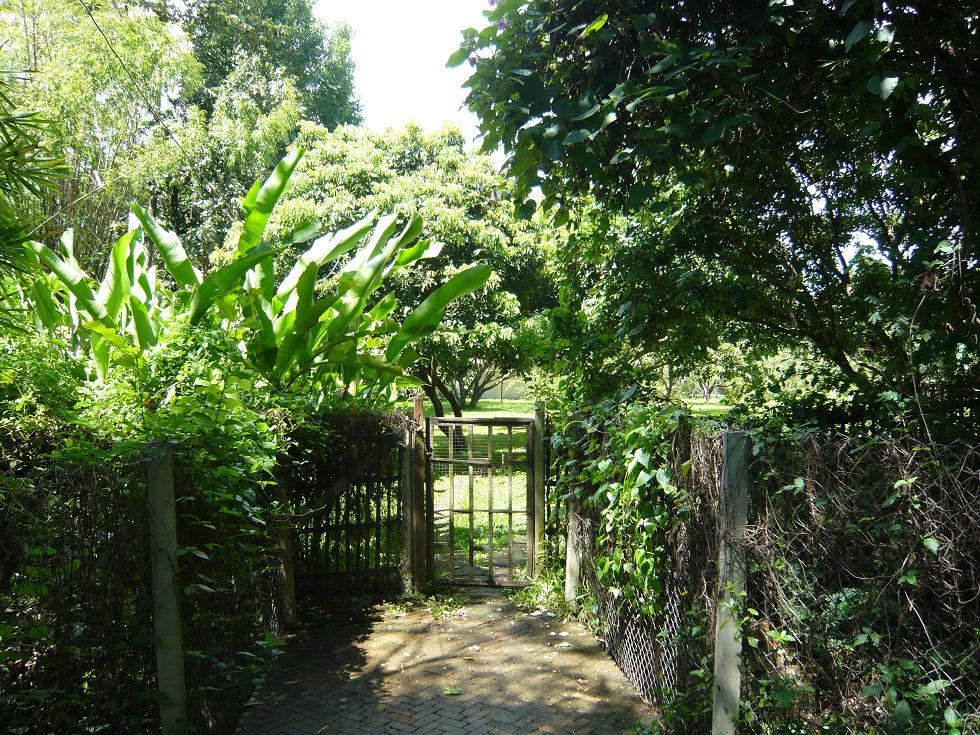 f0178278_8153175.jpg