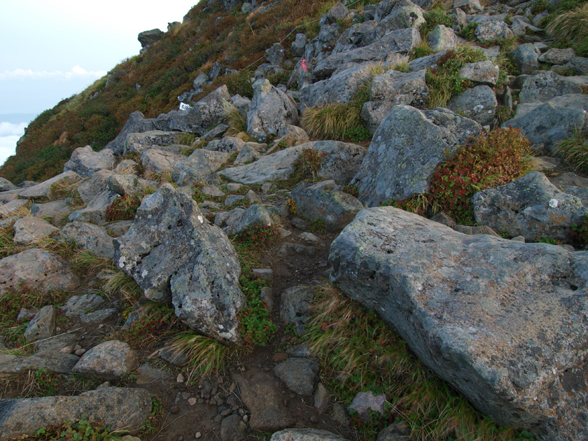 d0152981_1362764.jpg