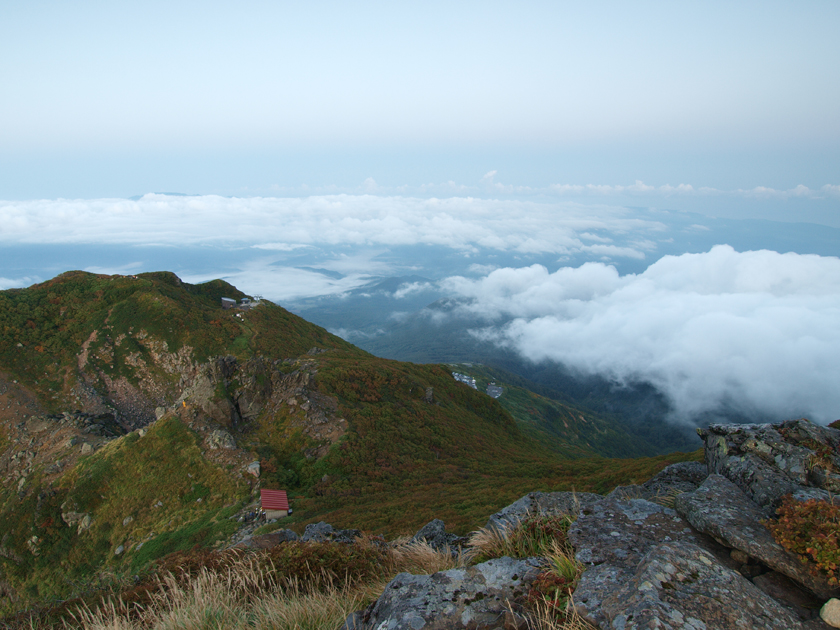 d0152981_1365634.jpg