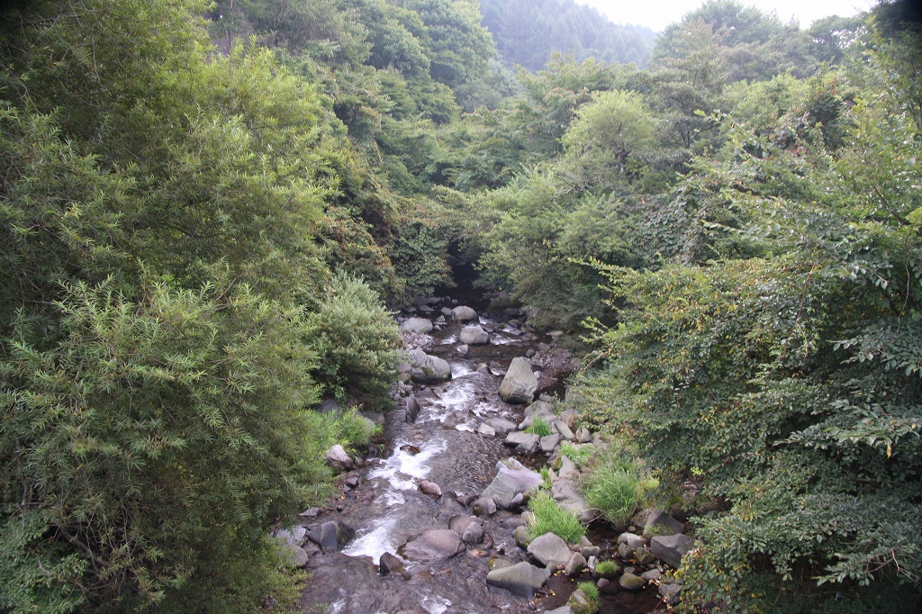 e0024081_94727.jpg