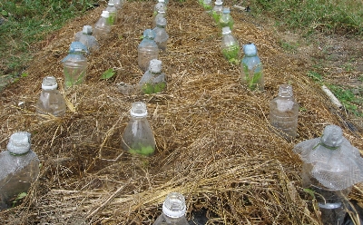 f0003283_21482757.jpg