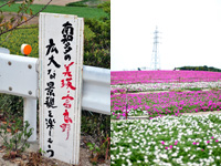 c0051385_2343111.jpg