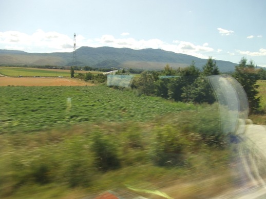 e0030488_22114314.jpg