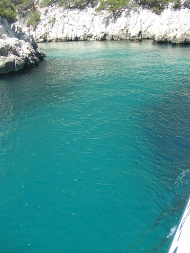 e0030488_22505077.jpg