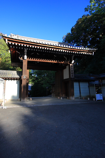 e0051888_216433.jpg