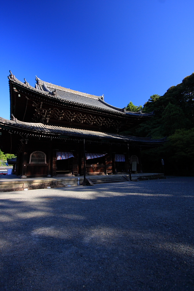 e0051888_2164351.jpg