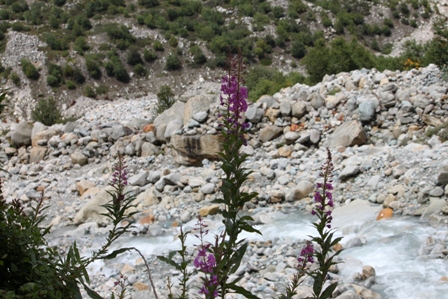 f0138588_23144428.jpg