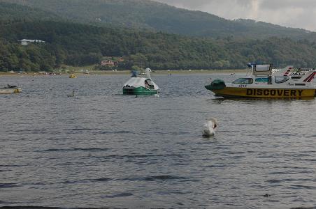c0123890_217768.jpg