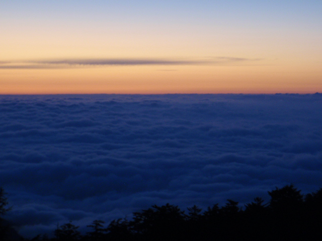 d0034291_63633.jpg