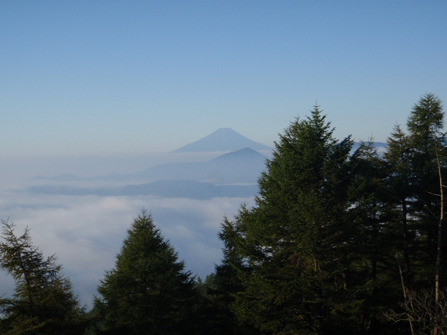d0034291_642012.jpg