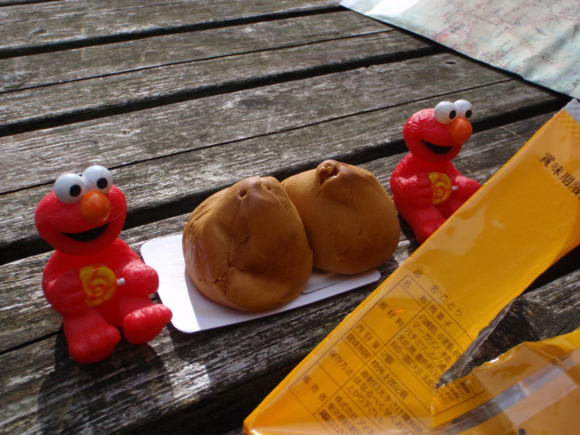 d0034291_672299.jpg