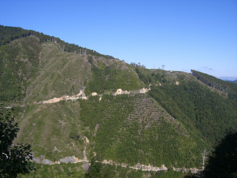 f0068291_22485195.jpg