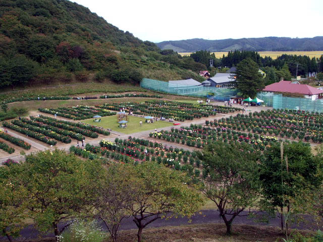 f0019498_555147.jpg